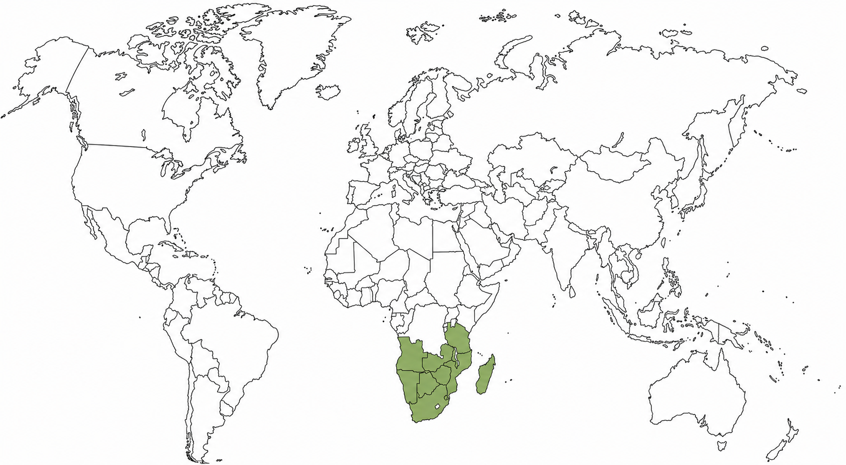 Mapa da presença comercial do Hasber Group em Moçambique, África do Sul, Angola, Botswana, Essuatíni, Madagáscar, Malawi, Namíbia, Tanzânia, Zâmbia e Zimbabué